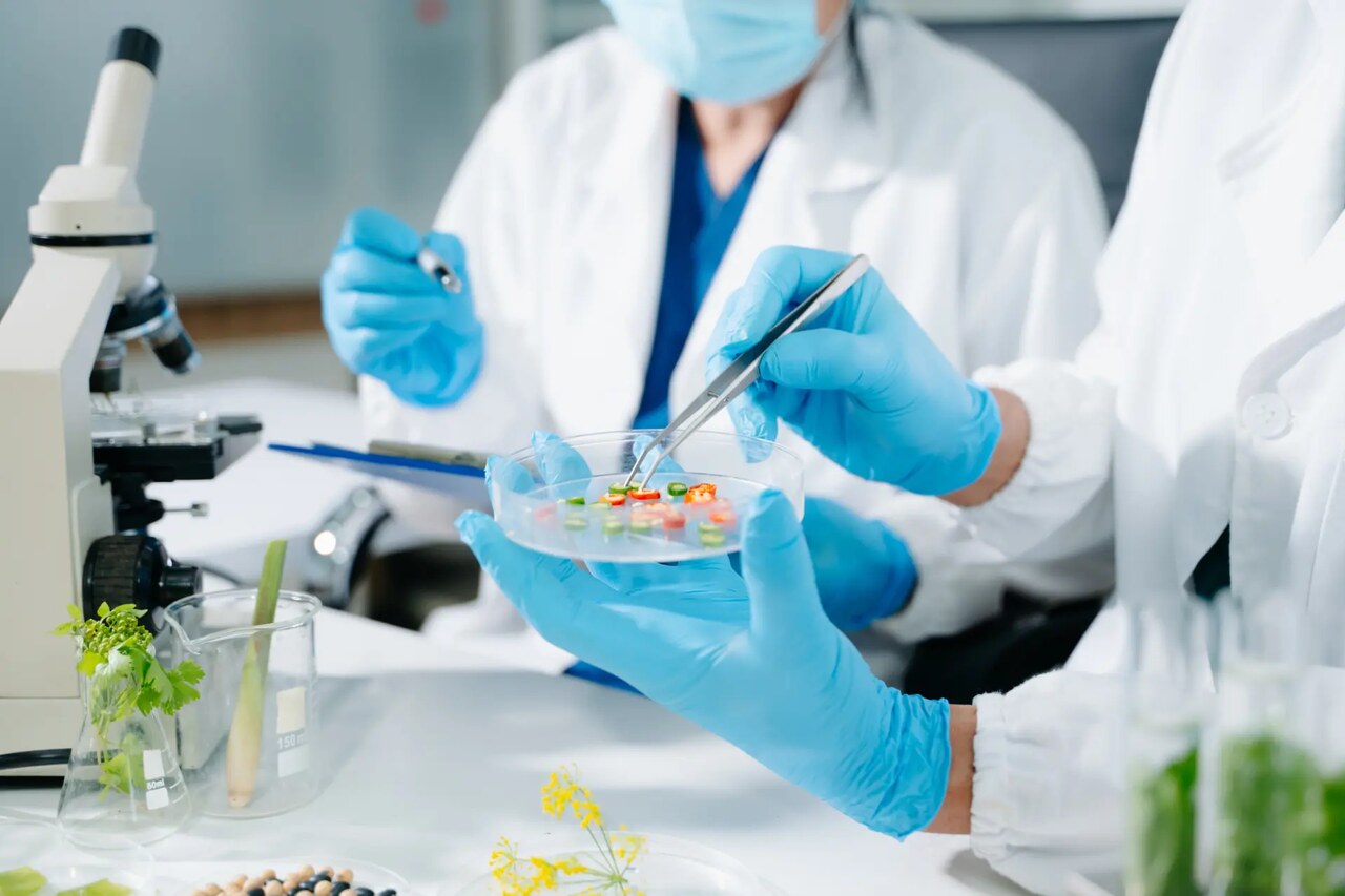 Quality Lab
